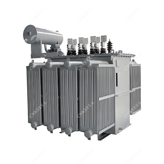 Oil-immersed Medium and High Voltage Transformer